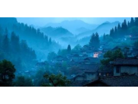 揭秘浙江松陽縣陳家鋪村600年古韻：自駕指南、必打卡景點與美食之旅