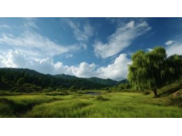 土地性質劃分(土地性質常識)