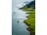 探尋文昌東郊椰林的神秘海域