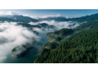 溫州楠溪江景區(qū)門票費用是多少？