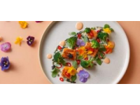 養生秘籍：欖菜蒸魚——低脂高蛋白的美味與健康