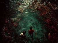 揭秘威海隱藏趕海地，豐富海洋生物等你探索！#威海旅游攻略# #海邊趕海體驗#