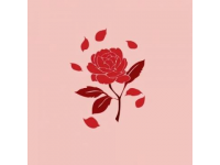 玫瑰創業與生意現如今玫瑰
