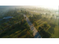 藏不住啦！北京周末新聚點通州綠心公園