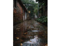 海口慢生活游記：自然之美、人文和美食