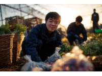 南沙生活體驗：百元購大袋新鮮蔬菜不再是難題
