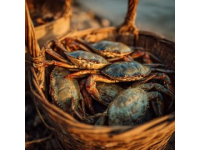 夏日微風中的味蕾享受：寶應六月鮮蟹黃魚頭煲