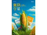 如何制作美味雙皮奶，廣東經(jīng)典甜品教學(xué)指南
