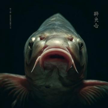 泰熱門節目使用魔鬼魚引發爭議，制片人聲明回應質疑