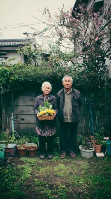 小愛好帶來的樂趣與生活園藝的常識.