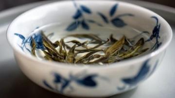 傳承二十載，朱雀打邊爐：粵式藥膳原湯鍋底秘制再現上海