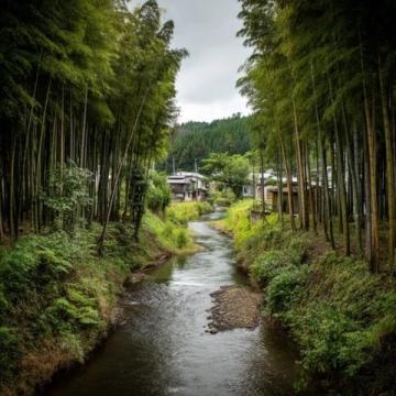 深度游南通:江海明珠旅游全攻略指南