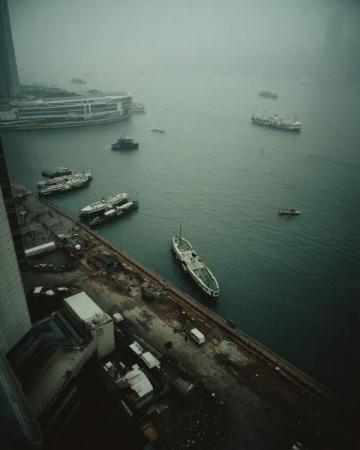 香港鼠患嚴(yán)峻:每捉一只老鼠成本約10880元,引發(fā)熱議