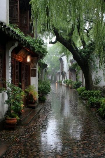 蘇州3天6晚游玩攻略，帶你暢游園林之美