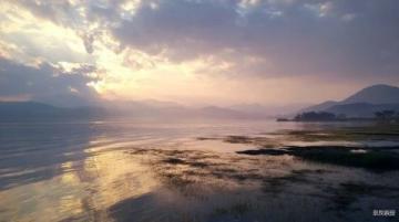 東江岸畔的放生盛景:臺江邊的如畫風光