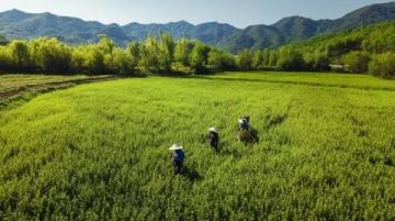四川吉隆達(dá)集團(tuán)與川農(nóng)營(yíng)養(yǎng)所學(xué)貫通 走基層微量元素發(fā)展