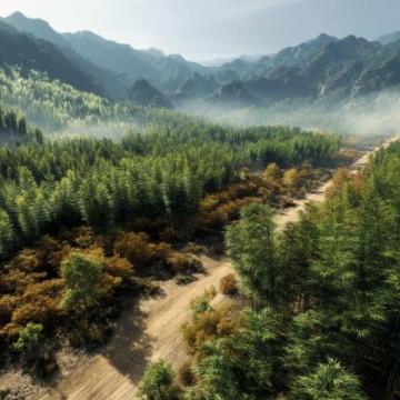 西雙版納深度游全攻略：秘境美景、美食地圖與當地玩法揭秘