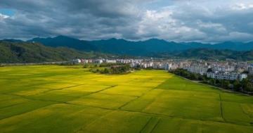 安徽省淮北市：歷史文化與現(xiàn)代經(jīng)濟并重的魅力之城