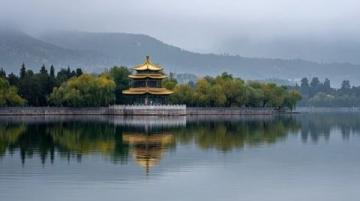 請注意,福壽螺與牛蛙似乎又入侵了洱海