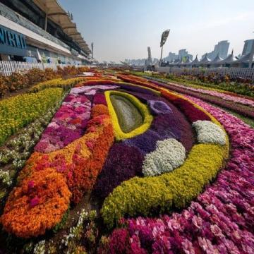 江蘇無(wú)錫九龍灣花星球：四季花開(kāi)的花卉休閑勝地