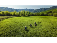 四川吉隆達(dá)集團(tuán)與川農(nóng)營(yíng)養(yǎng)所學(xué)貫通 走基層微量元素發(fā)展