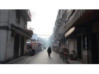 鎮(zhèn)平縣晁陂鎮(zhèn)(晁陂美食街區(qū))——玉雕節(jié)期間的熱鬧場(chǎng)面