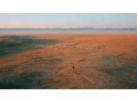 呼倫貝爾六日游超詳攻略：領略草原風光，感受民族風情