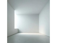 舌尖上的東阿：黃河鯉魚、驢肉火鍋與阿膠養生宴的美味之旅