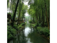 武漢萬(wàn)松園：不夜城里的味蕾探險(xiǎn)之旅