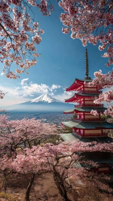 2025年必去的五大春季旅行勝地,跟隨榜單開(kāi)啟新體驗(yàn)