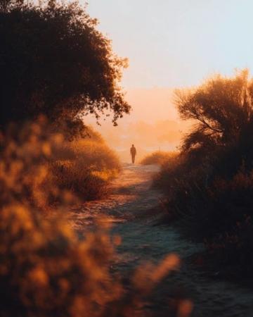 每日步行量目標設定