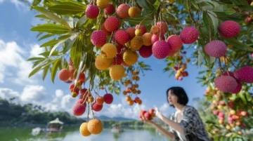 家鄉(xiāng)秋天豐收的果實可以做出許多誘人的美食，以下是一些常見的搭配