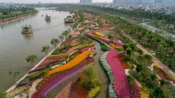 蘇州東沙湖公園:春風中綻放的花季盛宴