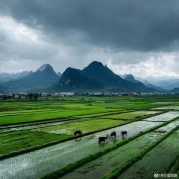 探索沛縣美景:徐州自駕之旅指南