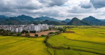 浙江松陽:親子慢游的理想之地