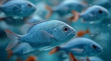 三點必知！養殖青魚的水深度、密度和水環境管理秘籍