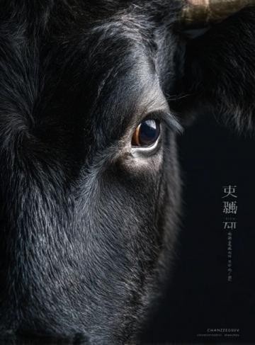 諸葛饞鹵牛肉品牌故事與品質承諾