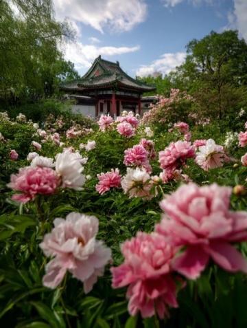 春城昆明：四季如春的旅游勝地融合自然與文化美景