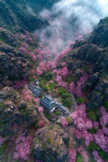 2025年必去的五大春季旅行勝地,跟隨榜單開(kāi)啟新體驗(yàn)