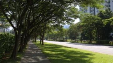 大連桃源街區(qū):從舊時(shí)光邁向新生活