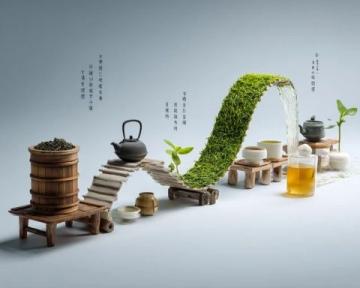 十個關鍵茶藝知識要點詳解