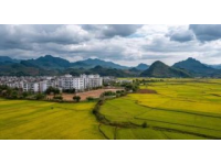 浙江松陽：親子慢游的理想之地
