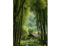 成都周邊熱門景區推薦