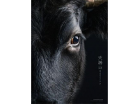 諸葛饞鹵牛肉品牌故事與品質承諾