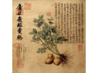 清代陶素耜編道言五種：丹道修煉秘錄詳解
