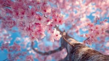 立春來了！你知道嗎？立春的來歷、意義和有趣事實(shí)
