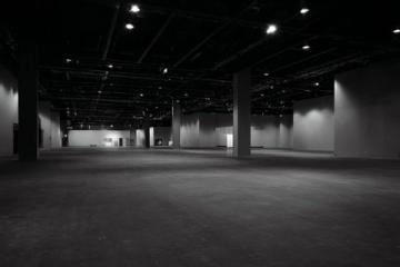 美國加州安納海姆的洛杉磯迪士尼樂園