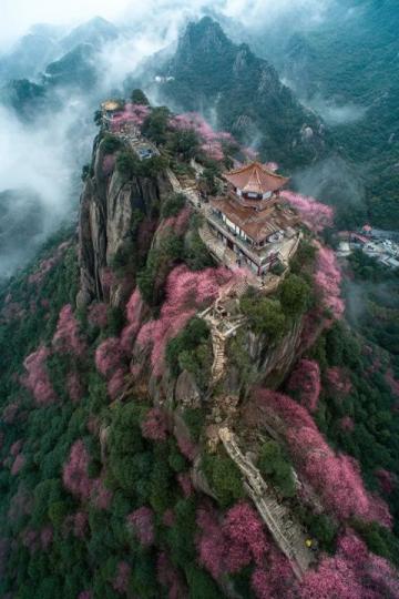 貴州寶藏特產排行榜TOP10