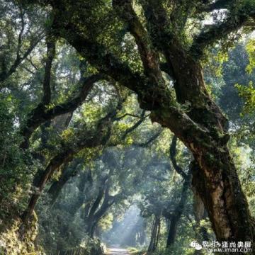 珠海江門臺山兩日游路線指南：狂飆之旅，探索自然與人文的魅力