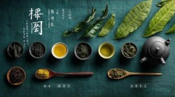 泰州燙干絲與揚州早茶的文化交融與地方特色